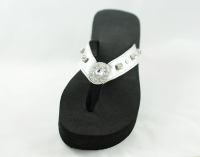Silver Flats